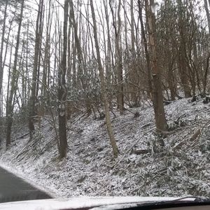 Meet your Posher, Annette